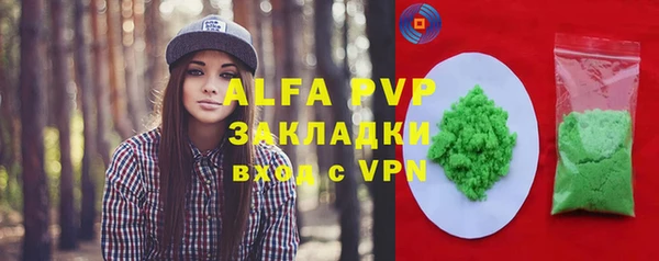 гашик Инсар