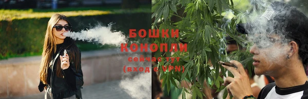 гашик Инсар