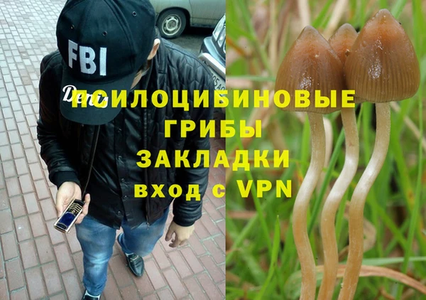 мескалин Инта
