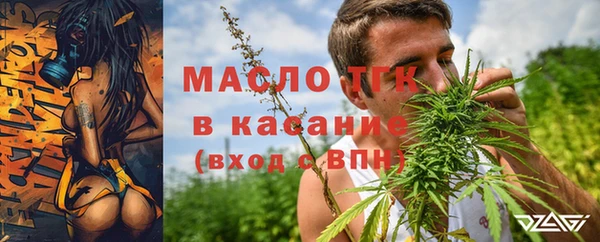 гашик Инсар