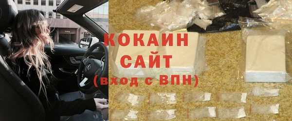 гашик Инсар