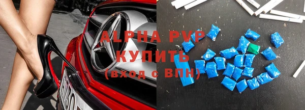 гашик Инсар