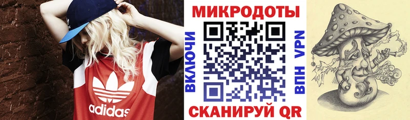 Галлюциногенные грибы прущие грибы  блэк спрут как зайти  Моздок 