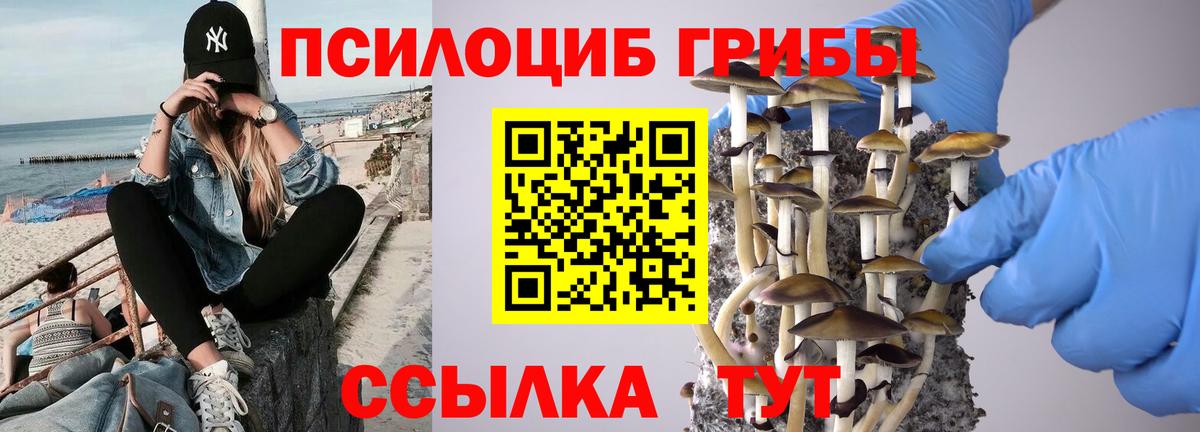 Псилоцибиновые грибы ЛСД Моздок