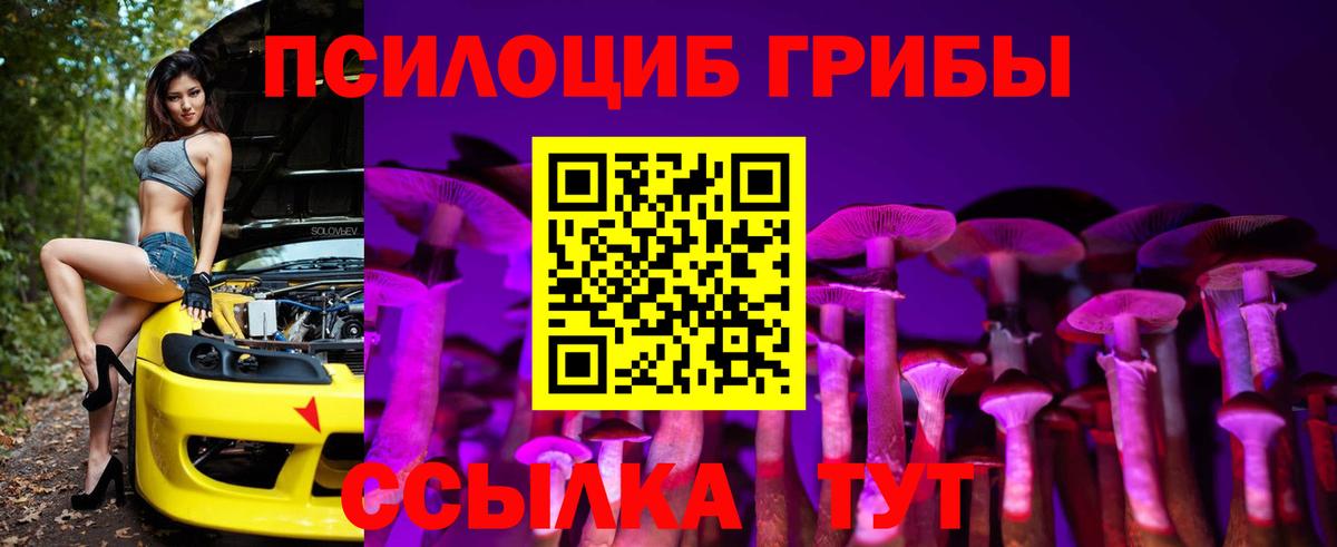 Моздок  Галлюциногенные грибы Psilocybe  Вход с VPN 