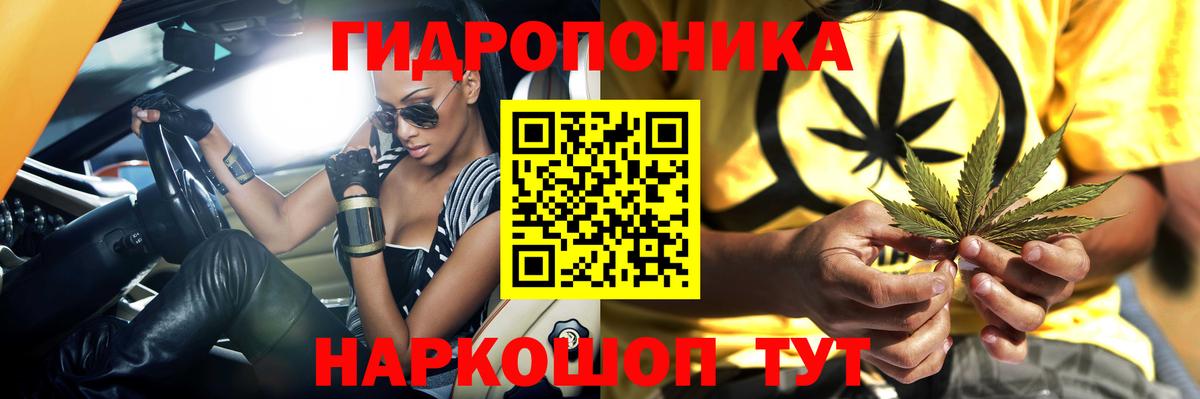 Конопля план Моздок