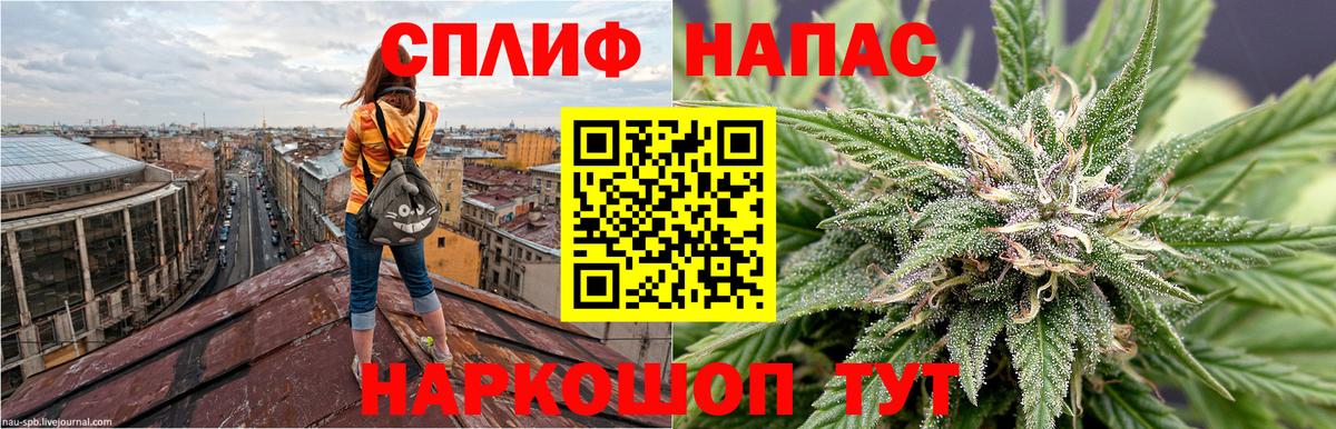 Бошки марихуана MAZAR  Вход с VPN  Каннабис семена  Канабис SATIVA & INDICA  Моздок 